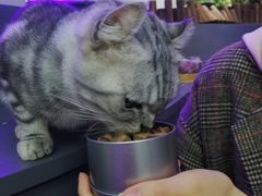 -极木²邸 人与宠物·互动社区
