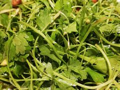 -小渔船渔家传统菜(鲅鱼圈店)