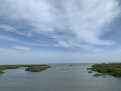 -北海金海湾红树林生态旅游区