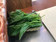-清真·马家火锅美食城(镇江北路店)