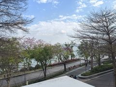 -ommo cafe(半岛城邦店)