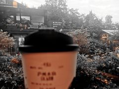 庐州水仙-一叶觅山(半边街店)