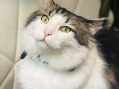 -小时光咖啡馆(北锣鼓巷店)