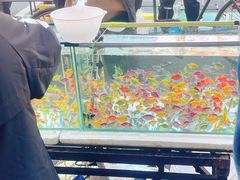 -华润万家(丹东宝山店)