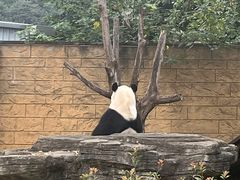 -杭州野生动物世界