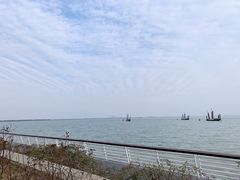 -贡湖湾湿地公园