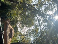 -外蒲山