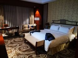 -龙子湖迎宾馆·宴会