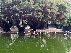 -九龙公园