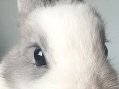 -藦茜花园宠物主题亲子互动体验馆(国顺东路店)