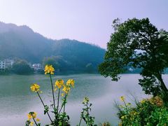 -新安江山水画廊风景区