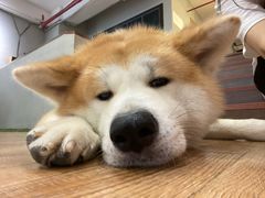 -YCHL Studios健身工作室(市二宫店)