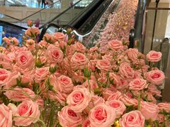 -洋洋广场(南街店)