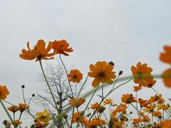 -海珠湖公园