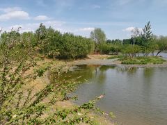 -东郊湿地公园