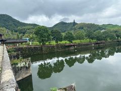 -芦茨金富饭庄·25年老字号·专做稻草鸡