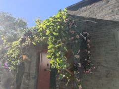 -成都驻京办餐厅(蜀都宾馆店)