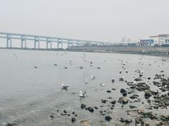 -黑石礁公园