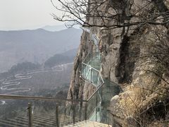 -大芦花风景区