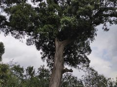 -金堂县云顶石城风景区