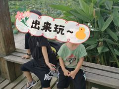 -艾溪湖湿地公园