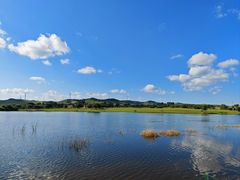 -塞罕坝国家级自然保护区