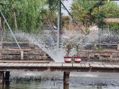 -同銮特种养殖场·龙虾垂钓