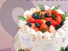 -维尔纳斯·生日蛋糕·动物奶油冰淇淋蛋糕(六里桥店)