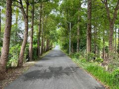 -上海长兴岛郊野公园