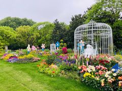 -上海共青森林公园