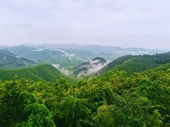 -莫干山风景区
