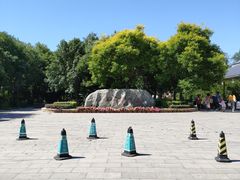 -杨柳青庄园