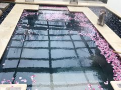 -苏州湾王焰温泉度假酒店