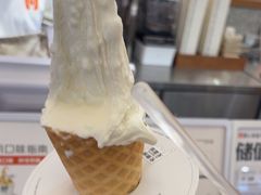 -野人先生Gelato(上海长宁龙之梦店)