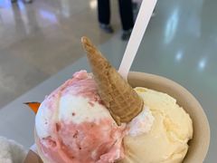 -极拉图·现制冰淇淋(大卫城店)