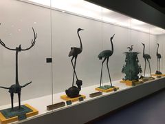 -盐城丹顶鹤湿地生态旅游区