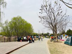 -东郊湿地公园