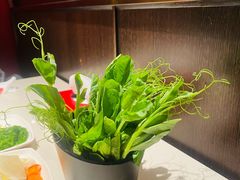 -海底捞火锅(杭州越界锦和大厦店)