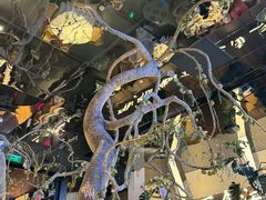 -桂满陇·海市蜃楼·黑金(国金店)