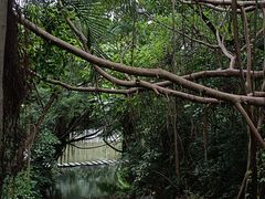 -燕晗山郊野公园