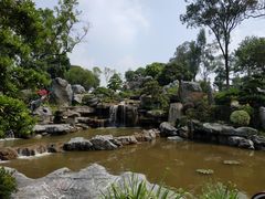 -东莞植物园