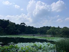 -承德避暑山庄景区