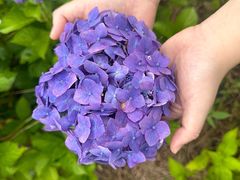 -筒骨麻辣烫(永同昌公寓胜明花园店)