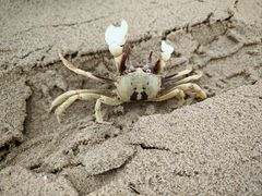-六鳌翡翠湾滨海度假景区