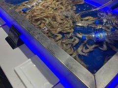 水产区-SEA西雅图海鲜自助餐厅(正义店)
