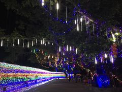 -江门古兜温泉小镇