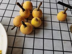 -梨云山居农家乐