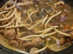 -蜀皇·菌汤鲜黄牛肉汤锅(宽窄巷子店)
