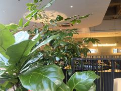 -大树餐厅(红旗街万达店)