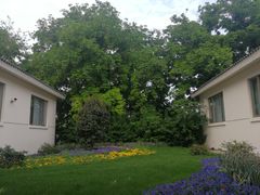 -春兰国宾馆(凤城河风景区老街店)